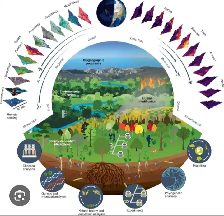 Пиздадағы ең үлкен және ең қалың пенис Катя Андреева, порно тележүргізуші