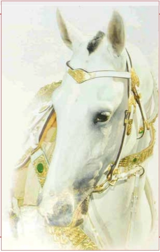 ŞÖHRATYM, ŞANYM- BEDEW